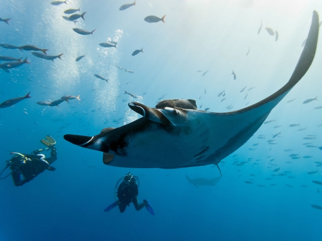 Buceo en Puerto Lopez