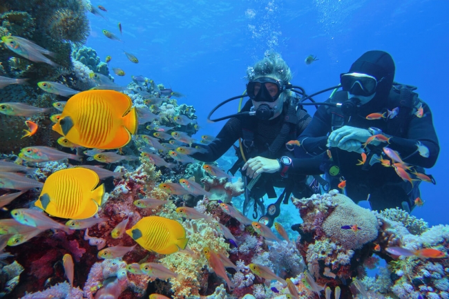 Buceo en Santa Marta