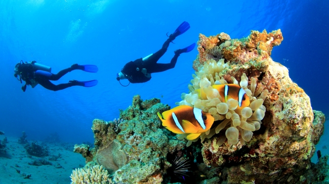 Buceo en Sosua