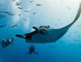 Buceo en Puerto Lopez