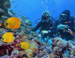 Buceo en Santa Marta